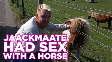 horsesexs|Horse sex .